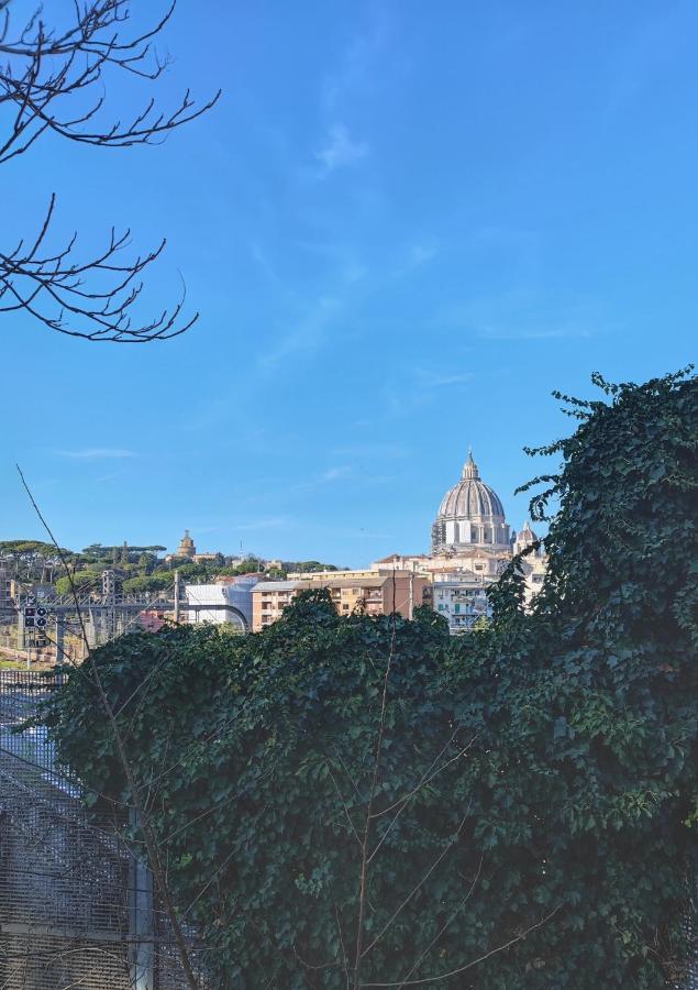 Timeless St Peter Terrace Apartamento Roma Exterior foto